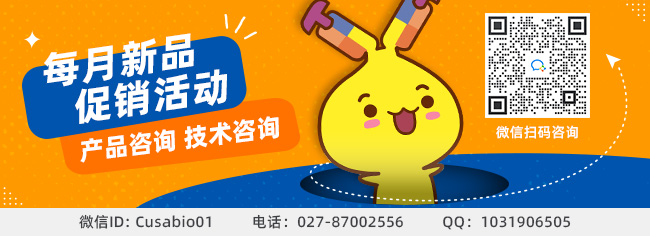 HSPA1A|HSPA1A抗体|Hsp70(HSPA1A) 