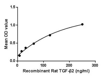 Rat TGF beta 2 protein, His ta