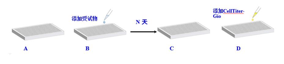 Cell Panel 筛选服务