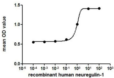 Human Neuregulin-1 protein, Hi
