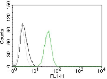 CD31 antibody [C31.10]