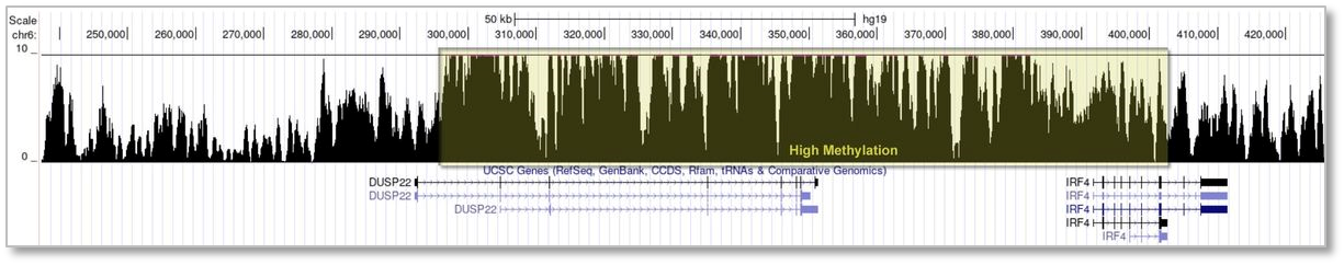 Methylation Specific Bisulfite Seq Library Prep Kit enriches CpG site as compared to WGBS, while RRBS and MeDIP-Seq are more limited. 人类基因组中的高甲基化区域