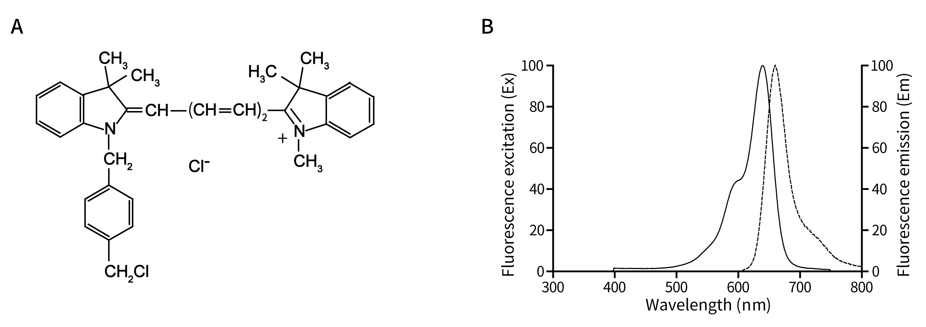 Mito-Tracker Deep Red FM (线粒体远