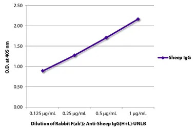 Rabbit Anti-Sheep IgG antibody