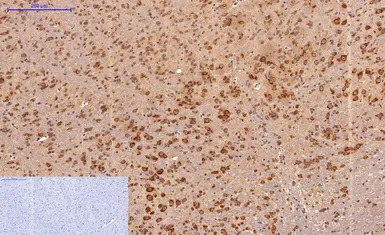 产品细节图片10