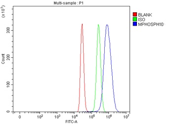 Anti-MPHOSPH10 Antibody 抗体，orb