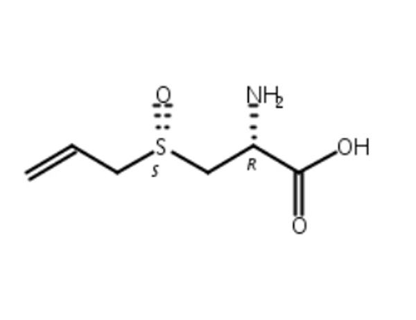 蒜氨酸,556-27-4