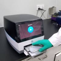 【单细胞】10x Genomics单细胞测序