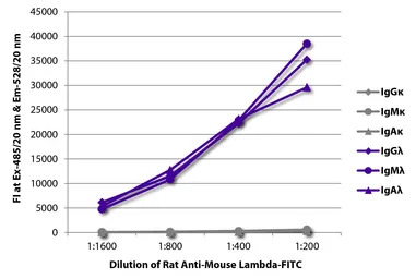 Rat Anti-Mouse lambda light ch