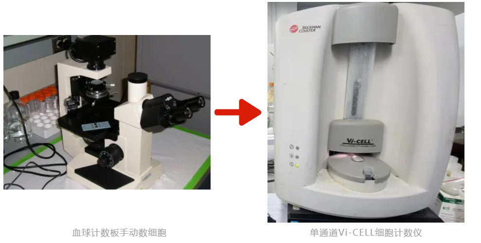大规模设备更新，不断升级的Vi-CELL细胞计数仪来助力