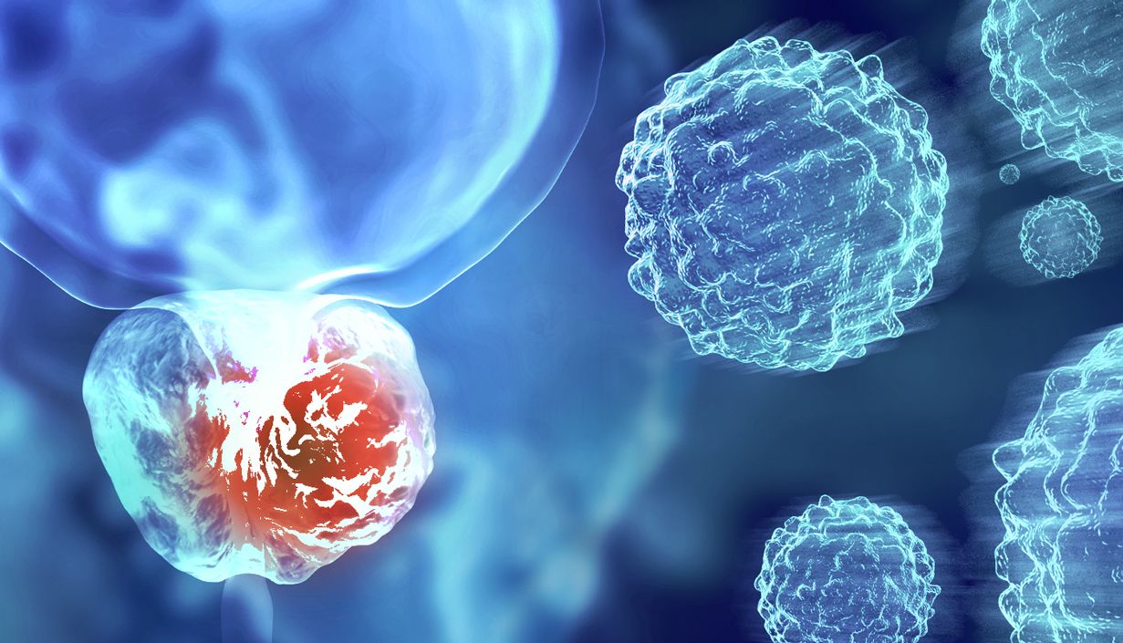 重要发现: 基质单胺氧化酶 B 会导致前列腺癌