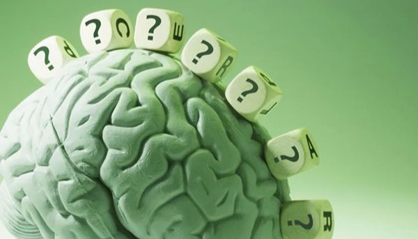 科研鱼论｜斑马鱼与基因编辑在脑科学研究中的应用