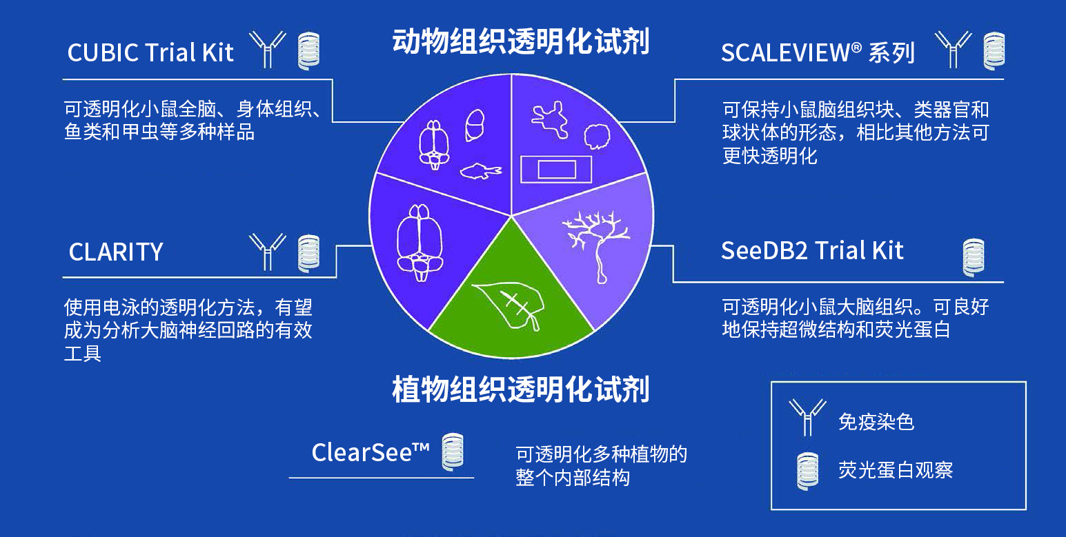 组织透明化试剂专题