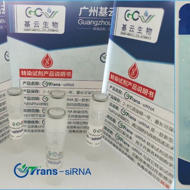 GCTrans-siRNA专用转染试剂(试用装)