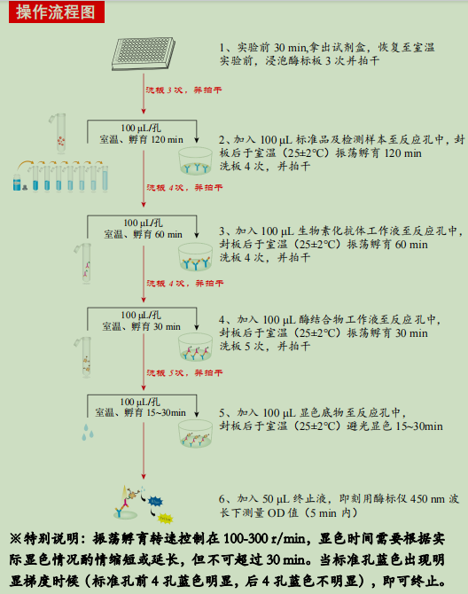 Human Klotho ELISA KIT