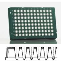 azenta 安升达一级签约代理商 FrameStar96孔裙边PCR板4ti-0960