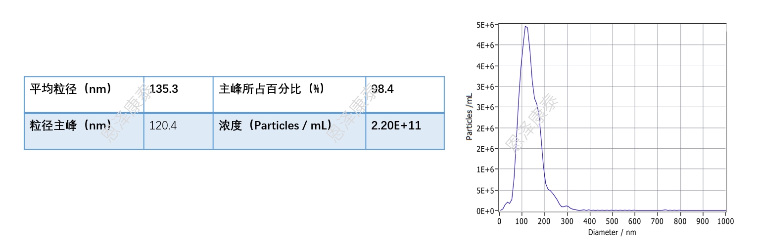 外泌体表征-粒径检测