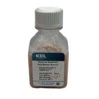 Exosome Depleted Fetal Bovine Serum                            无外泌体胎牛血清