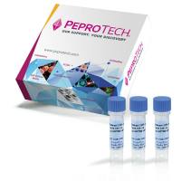 Biotinylated Anti-Human FGF-23