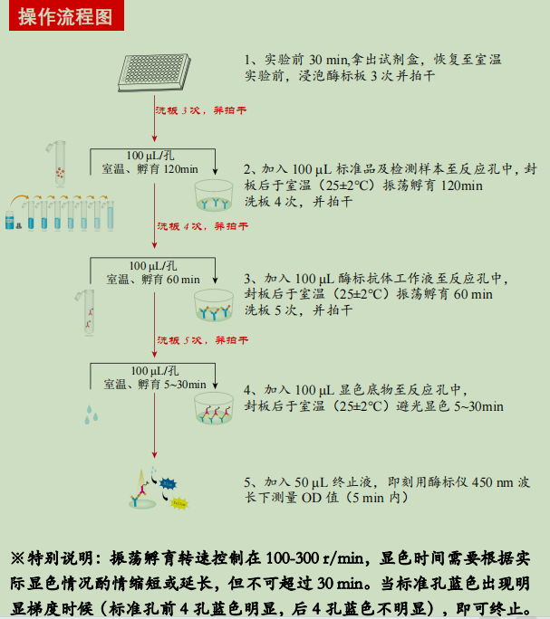 Human IL-18R1/CD218a ELISA KIT