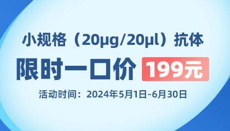 【华美生物】限时！一口价！199元！小规格（20μg/20μl）抗体