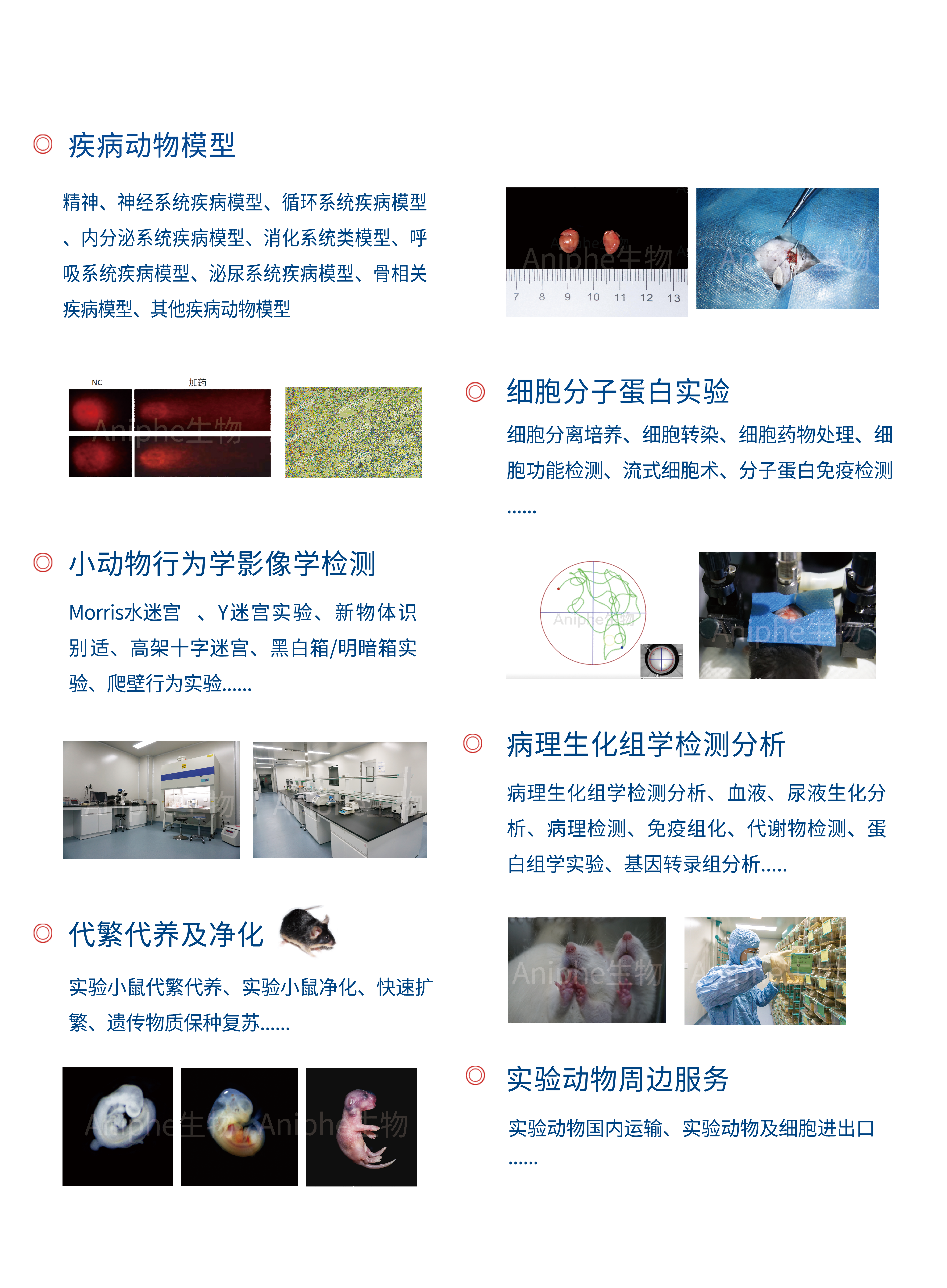 展会邀请 | 5月10-12日南京，艾菱菲生物与您相约中国神经科学学会脑血管功能与疾病分会全国学术会议暨脑科学发展天元论坛