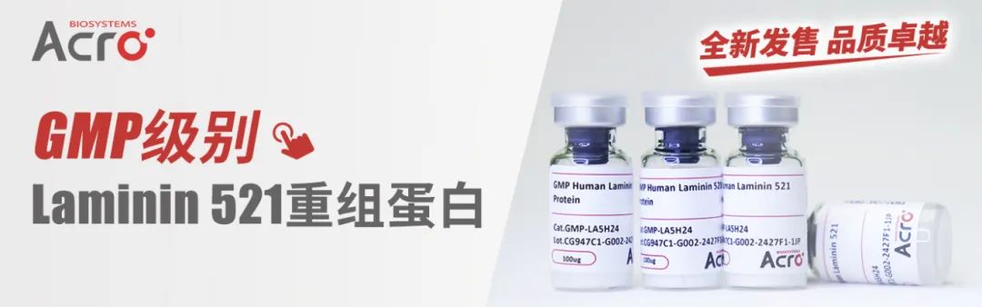【全新发售，品质卓越】GMP级别Laminin 521重组蛋白