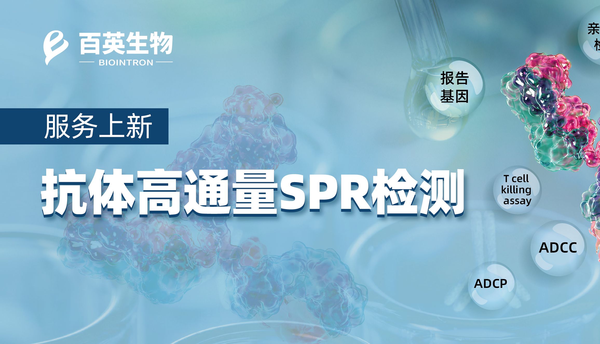 抗体高通量SPR检测，助力抗体药物快速筛选