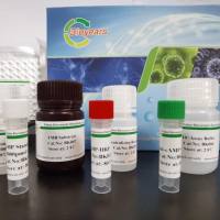 不对称二甲基精氨酸(ADMA)ELISA试剂盒