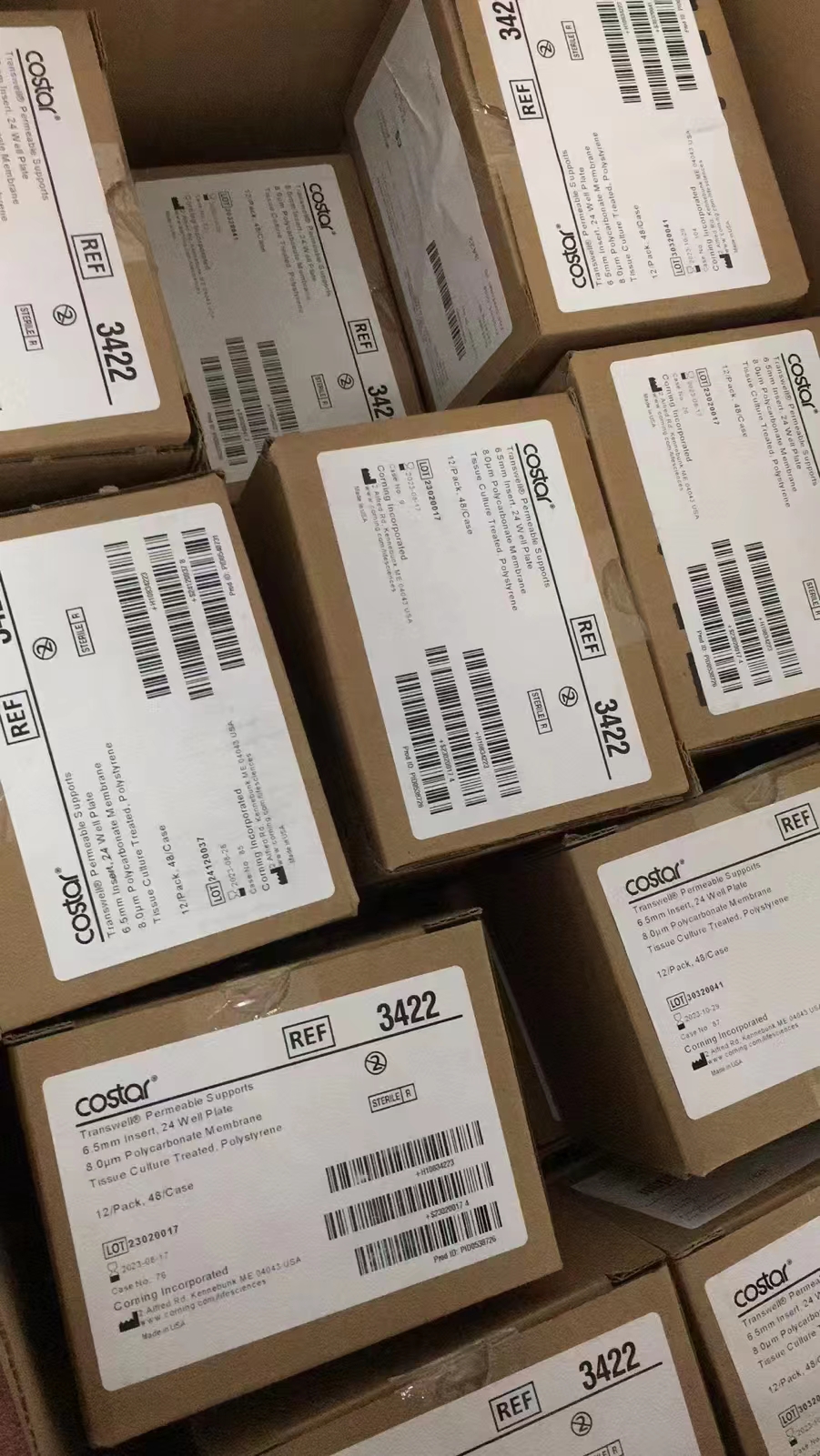 Transwell-24膜嵌套6.5mm直径8.0um孔径P