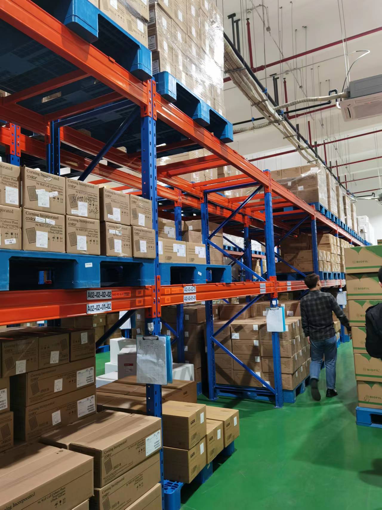 Transwell-24膜嵌套6.5mm直径8.0um孔径P