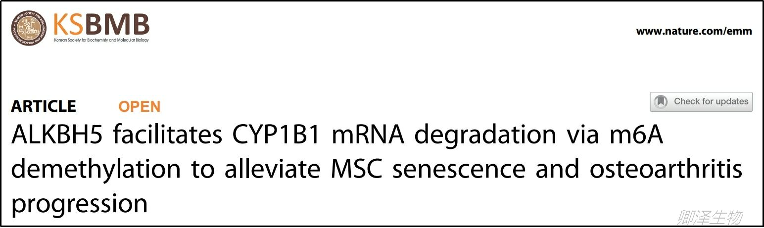 客户文章 | 沈慧勇教授团队发现延缓间充质干细胞衰老新方法