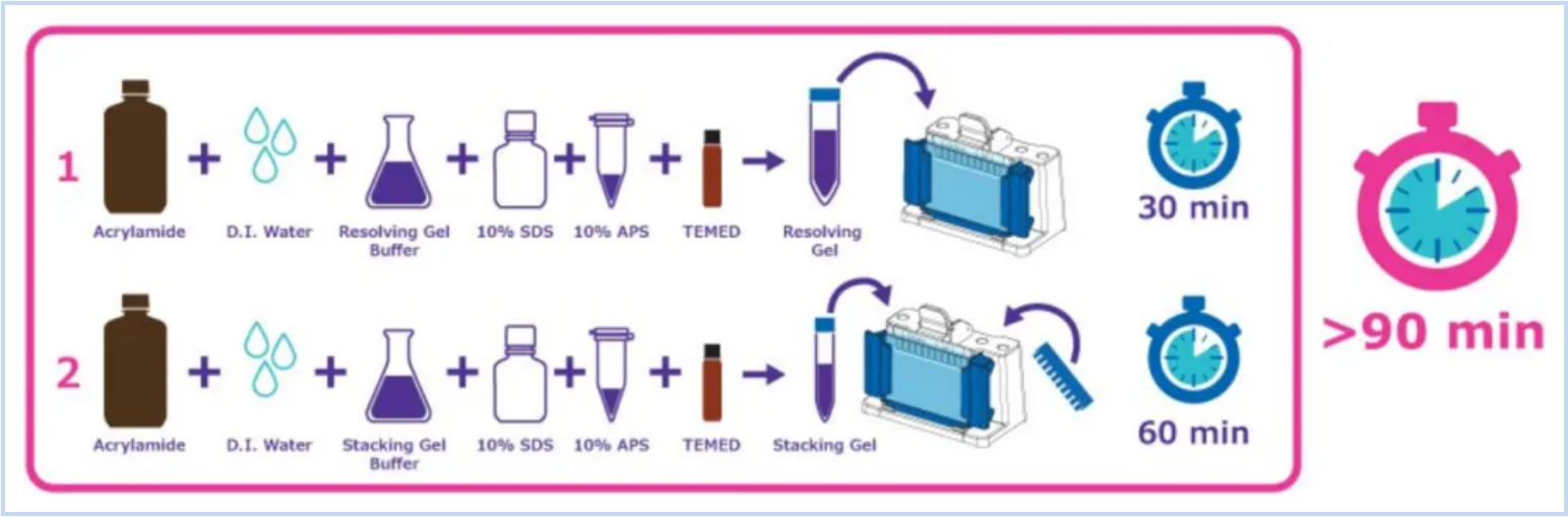 mPAGE® Lux SDS-PAGE制胶系统