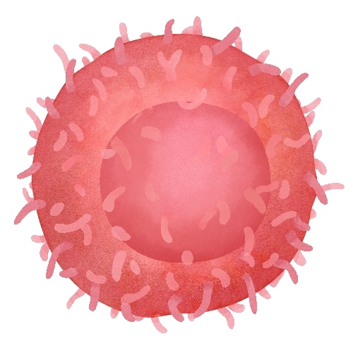 体内研究抗体金标准-BioXCell抗体限时特惠！