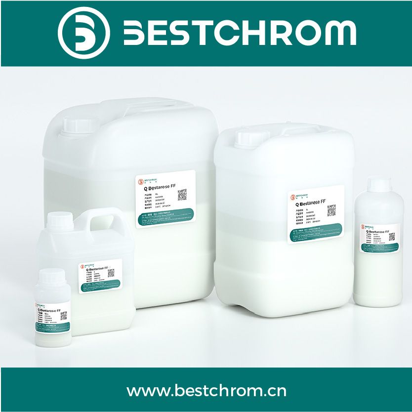 Bestarose FF快流速琼脂糖基架离子交换填料及预装柱