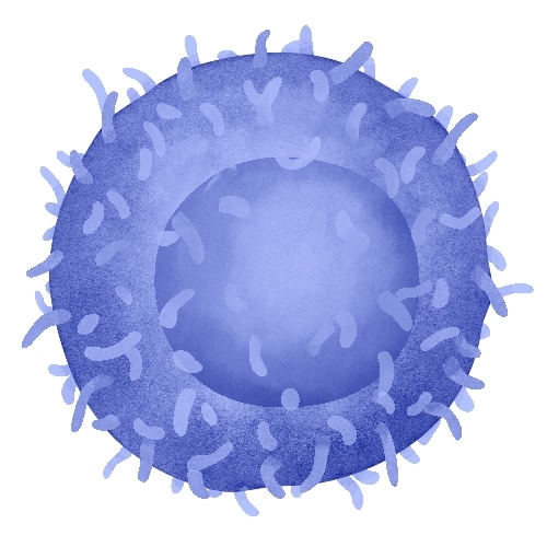 体内研究抗体金标准-BioXCell抗体限时特惠！