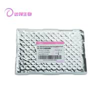 DL-TOP10感受态细胞