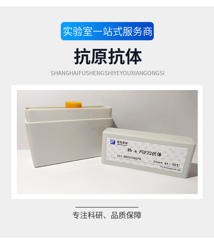 PE-Cy3标记的小鼠抗人IgG