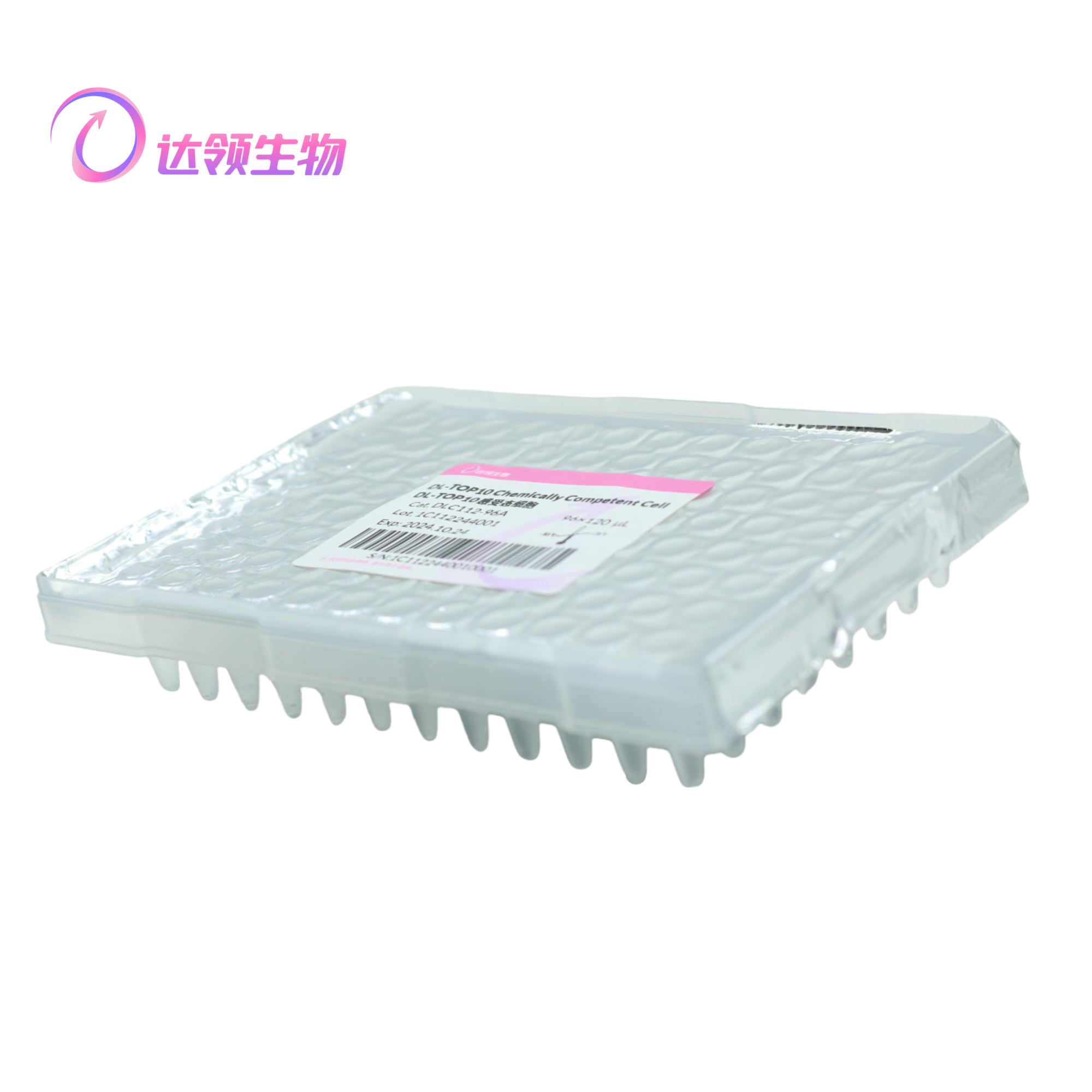 DL-TOP10感受态细胞