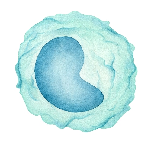 体内研究抗体金标准-BioXCell抗体限时特惠！