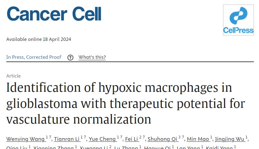 Cancer Cell|陆军军医大学卞修武院士团队利用Tissue Cytometry揭示胶质瘤血管微环境中缺氧TAMs空间规律