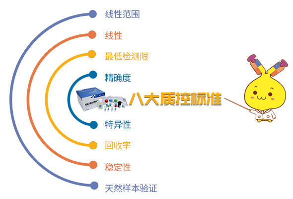 人SARS-CoV-2 S糖蛋白RBD(SARS-CoV-2