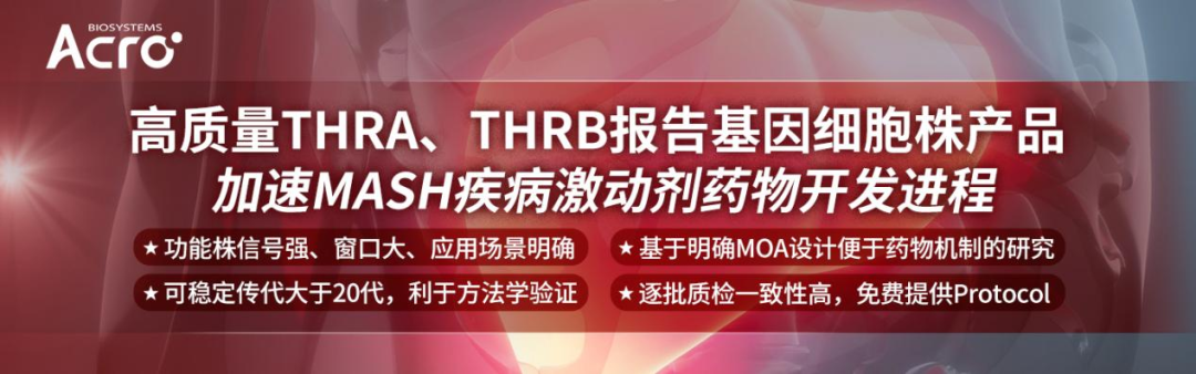 【新品上市】THRB, THRA报告基因细胞株：助力蓝海疾病MASH激动剂开发