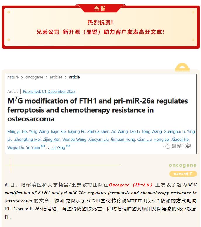 Polysome profiling技术再次助力客户发表高分佳作