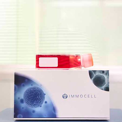 小鼠下丘脑神经干细胞丨小鼠原代细胞丨逸漠(immocell)
