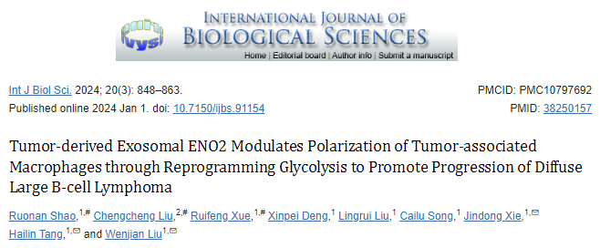 【Int J Biol Sci】9+,肿瘤源性外泌体ENO2通过调节肿瘤相关巨噬细胞的极化促进弥漫性大B细胞淋巴瘤进展