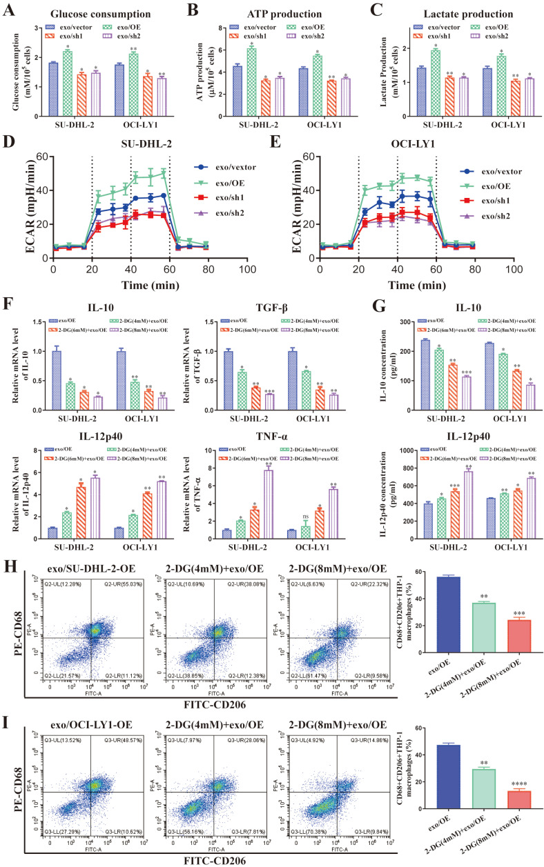 外泌体技术服务