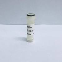 重组人表皮生长因子 RH-EGF