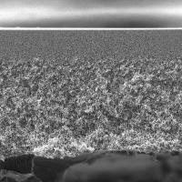 VVLP06225 Millipore 密理博 Amicon超滤杯滤膜 0.1um亲水性Durapore 0.22um 0.45um 搅拌式过滤器辅件