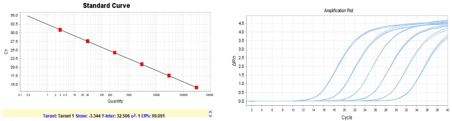 超灵敏、快速宿主细胞DNA残留试剂盒来啦